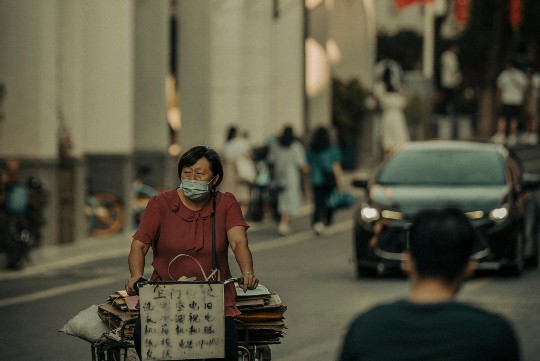 萌宠攻略，新手如何与兔子建立深厚情感