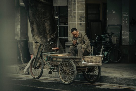 小猴情侣的甜蜜日常，揭秘它们不为人知的情感纽带